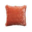 Rayon/Viscose Throw Square Pillow Cover & Insert