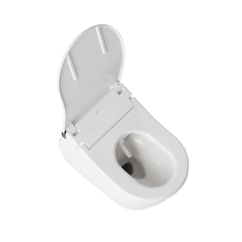 WASHLET Dual-Flush Elongated Wall-Mounted with High Efficiency Flush (Seat Included)