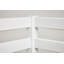 Bunk Bed-50952916-50952913