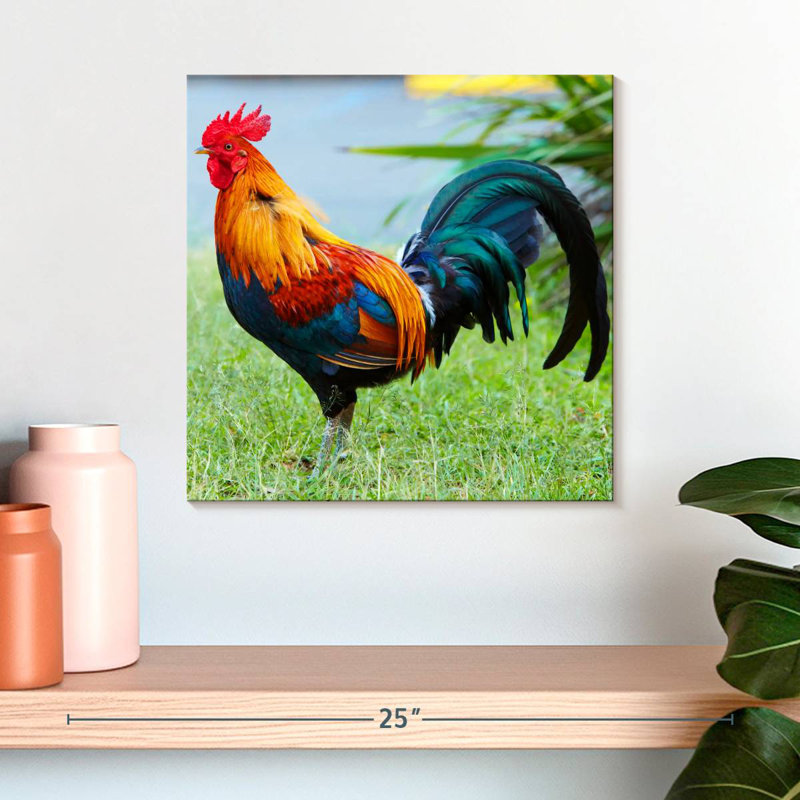 Crowle Rooster On Grass, 16" H x 16" W