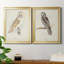 Barn Owl - Ensemble de 2 peintures sur toile encadrées-42979504-42979505