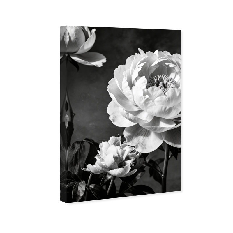 Still Peony Print by Oliver Gal, 15" H x 10" W, Gallery Wrapped