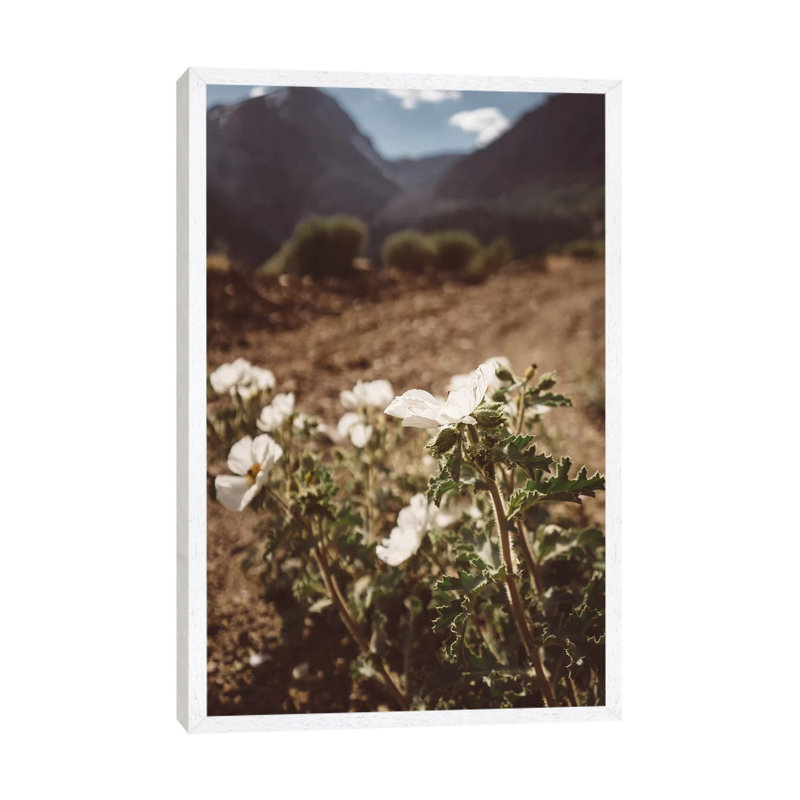 Yosemite Blooms by Bethany Young - Print on Canvas, White Framed, 66.04cm H x 45.72cm W x 3.81cm D