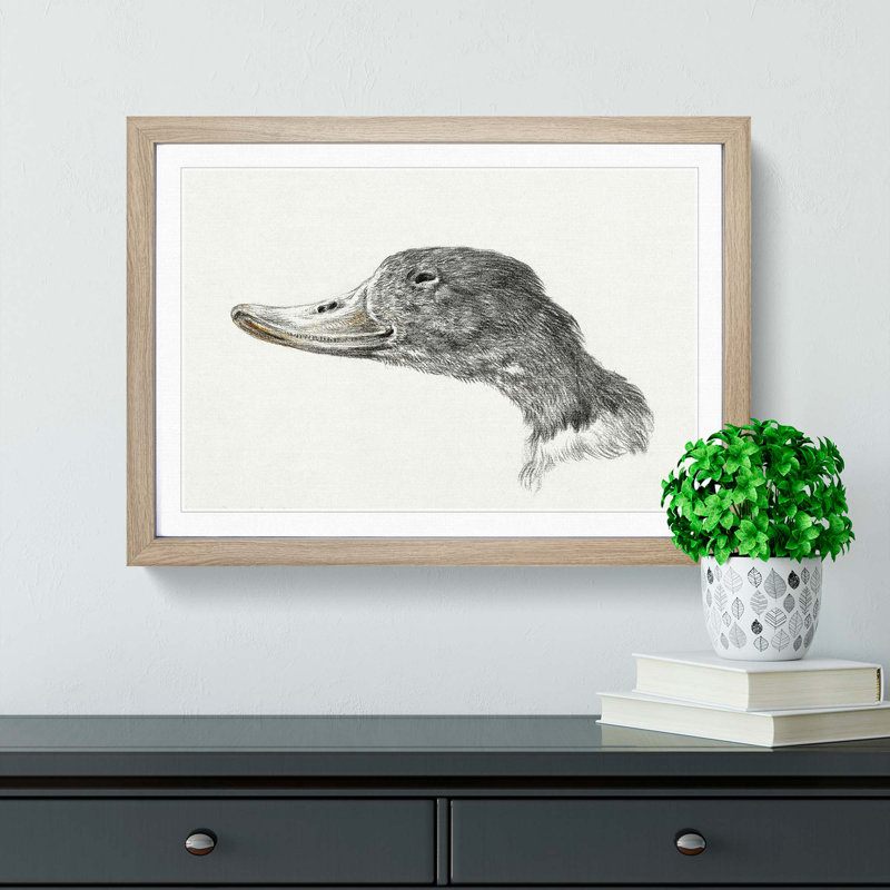 Head of a Duck by Jean Bernard - Picture Frame Drawing Print, 48cm H x 65cm W x 2cm D, Oak Framed