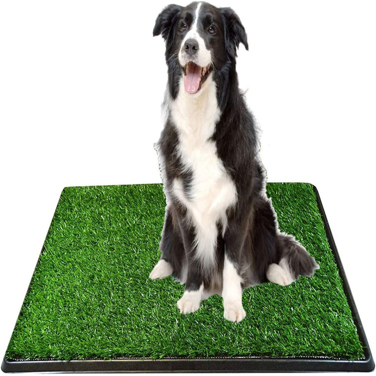 Tucker Murphy Pet™ Seviervillle Detachable Pet Dog Potty Pad Indoor Toilet  Training Mat/Pad & Reviews