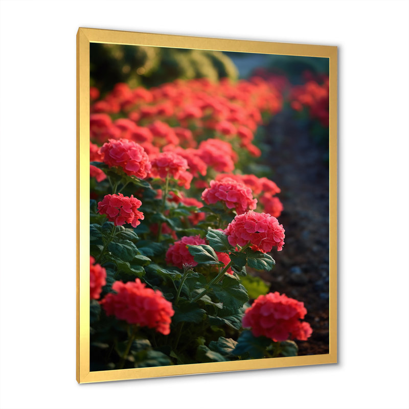 Photo Og Geraniums Field sur impression sur toile, H 32 po x l 16 po x P 1 po, Cadre doré simple