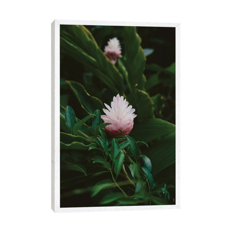 Tropical Hawaii IX by Bethany Young - Print on Canvas, White Framed, 152.4cm H x 101.6cm W x 3.81cm D