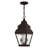Acadia 2 - Light Outdoor Hanging Lantern-2022046350