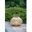 Lantern 8EA/CTN-1662831151