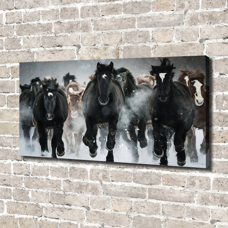 Horses in a gallop 1 Piece Wall Art, 70cm H x 140cm W x 2cm D, Canvas