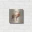 «Elk Study V2» par Studio Mousseau-666967182