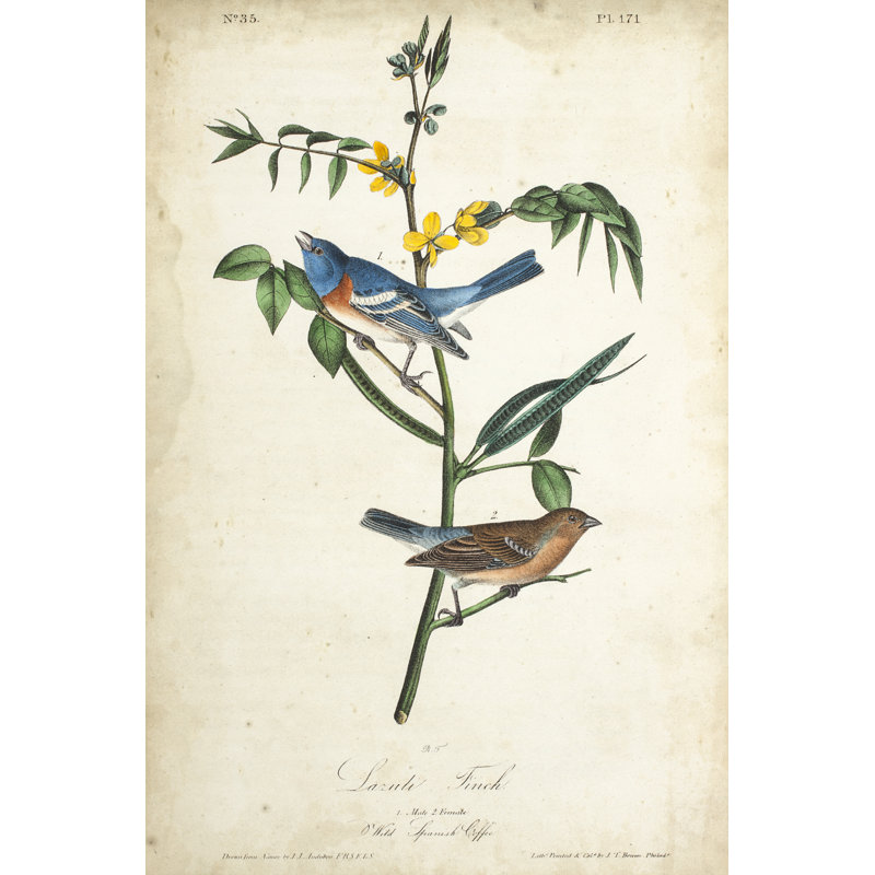 " Delicate Bird And Botanical IV ", 12" H x 8" W x 1.25" D