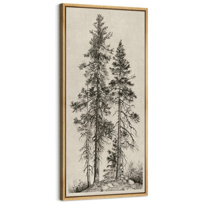 Vintage Pine Tree Drawing Classic Country Rustic Artwork - Extra Large Framed Wall Art Canvas Print