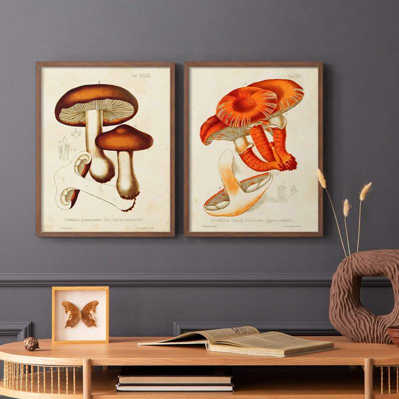 «Mushroom Variétés VI», reproduction encadrée de qualité supérieure - prête à être accrochée - aucun clou requis - aucun clou requis
