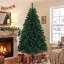 Christmas Tree-134058816
