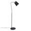 Dodo Task Floor Lamp