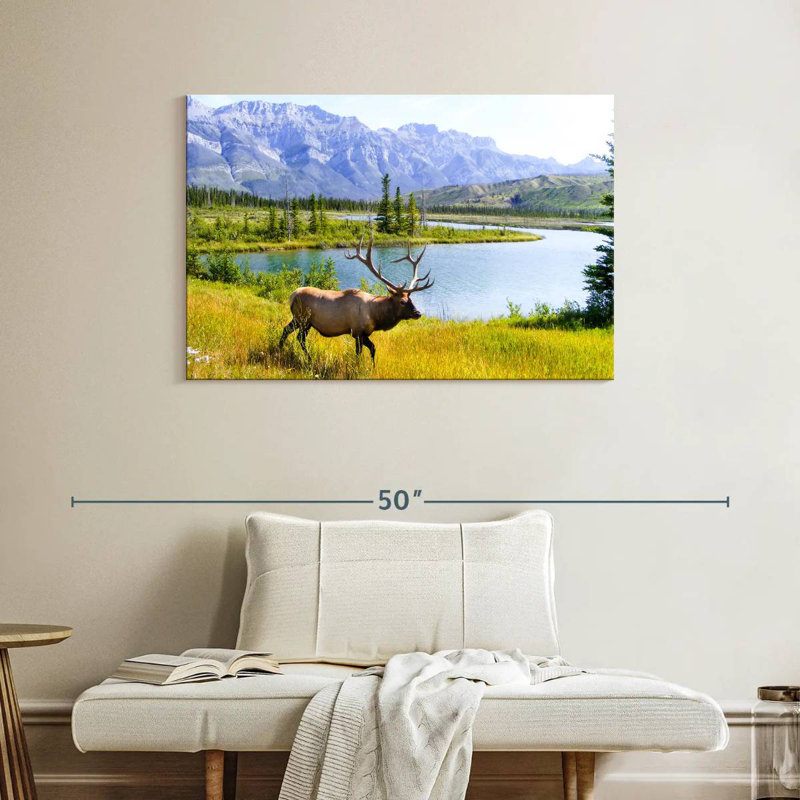 Brampt Elk Paradise, 26" H x 39" W