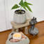 Jardinière en céramique 4,5 po, pot de fleurs en céramique, plante décorative, lavande-93564557