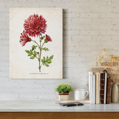 «Botanical III», impression sur toile tendue
