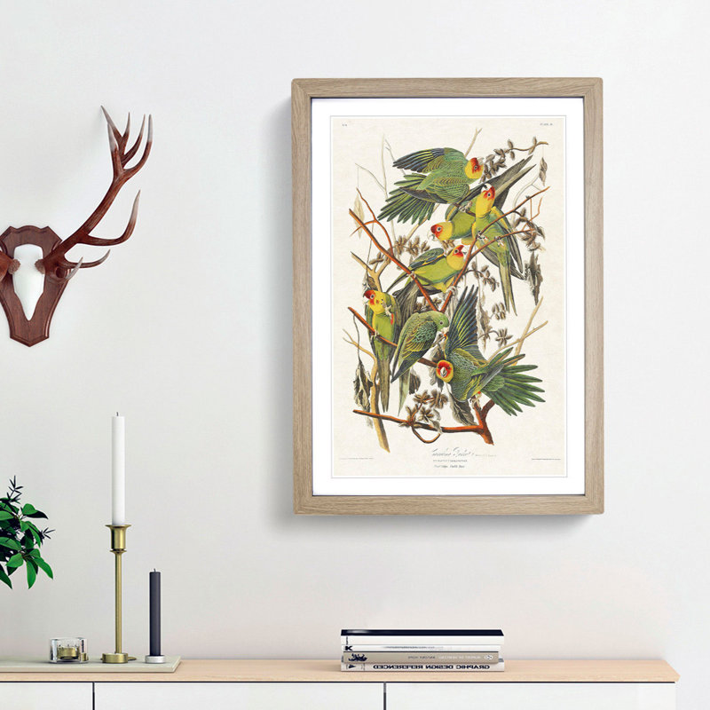 Carolina Parrots by John Audubon - Picture Frame Painting Print, Oak Framed, 65cm H x 48cm W x 2cm D