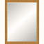 Alden Solid Wood Beveled Mirror-1800627341-1800627346