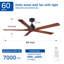 Ventilateur de plafond 60 po Black Lowe