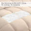 Ensembles d'édredon 3 pièces respirants, doux et moelleux - Ensemble d'édredon en duvet synthétique réversible toutes saisons avec deux taies décoratives-97872084-97872086
