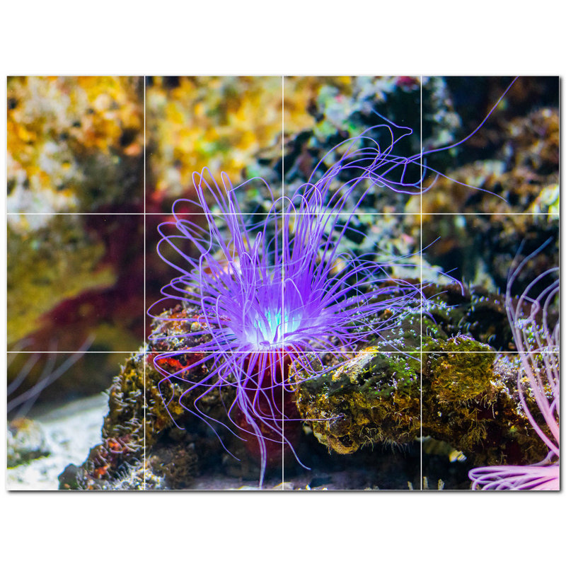Murale en céramique satinée Coral Photo 4,25 po x 4,25 po