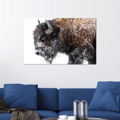 Print on Canvas
