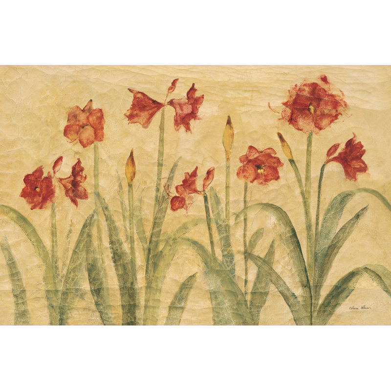 «Row of Red Amaryllis» par Cheri Blum, reproduction, Toile tendue, Non, H 20 po x l 30 po