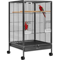 Hanging Bird Cages You'll Love - Wayfair Canada