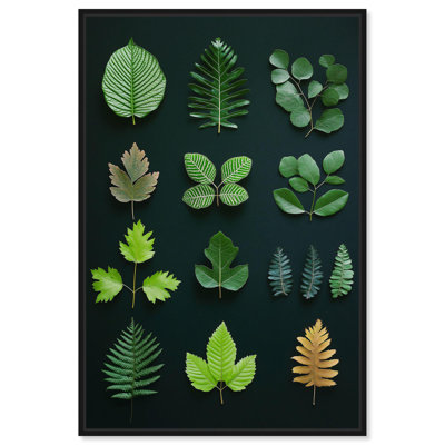 «Leaf Library I», reproduction botanique sur toile par Art Remedy