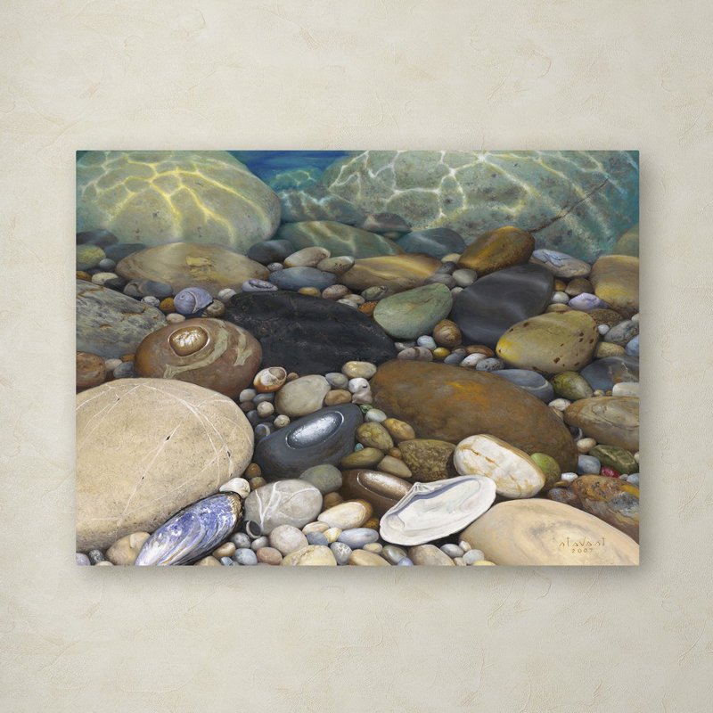 Shoreline Treasures par Stephen Stavast - reproduction de photo sur toile tendue, H 35 po x l 47 po x P 2 po