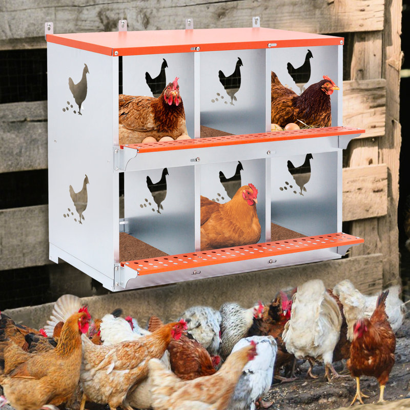 6 boîtes de nidification ventilées pour et canards, métal orange, rembourrage en fibre de noix de coco, volaille de nid en acier galvanisé facile à nettoyer, favorise la ponte confortable des œufs, absorbant et durable