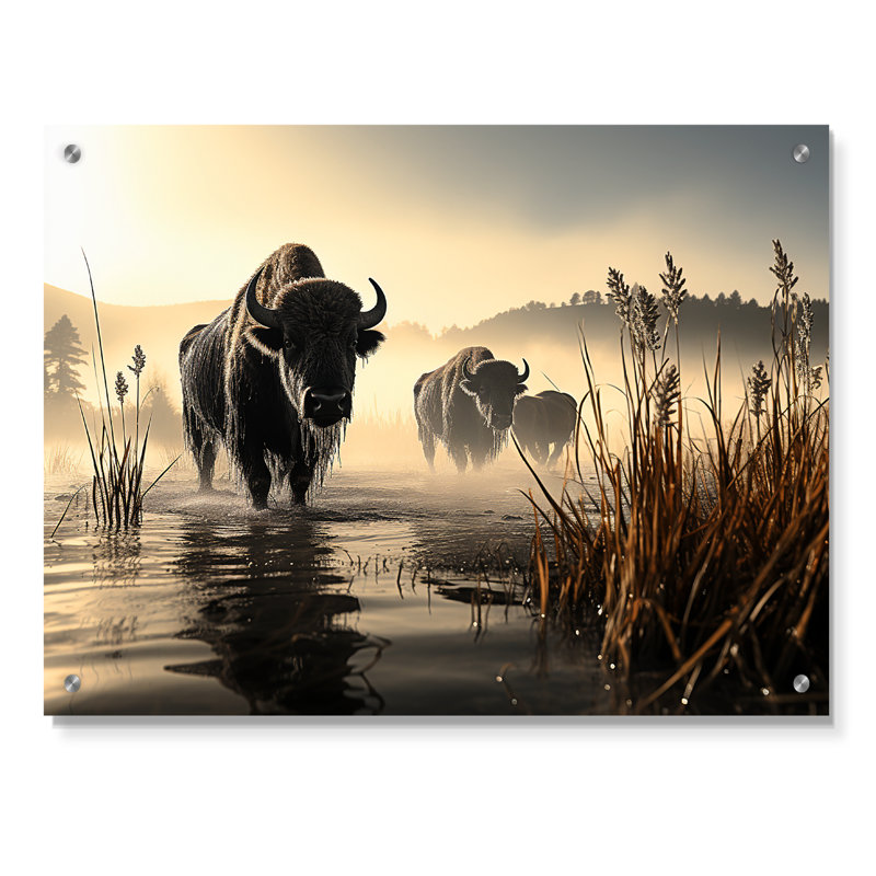 «Gray Buffalo Misty Morning Grazing I», art mural acrylique Buffalo, H 12 po x l 20 po