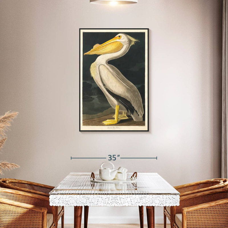 Pélican d'Amérique des oiseaux d'Amérique, Cadre flottant noir, 29 po x 43 po
