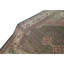 Wool Oriental Area Rug