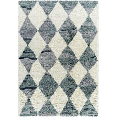 Anemone Hand-Tufted Moroccan Shag Rug