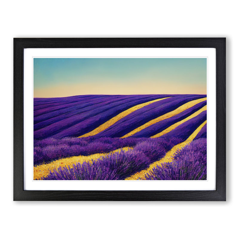 Cute Lavender Flower Field - Single Picture Frame Print, 46cm H x 64cm W x 2cm D, Black