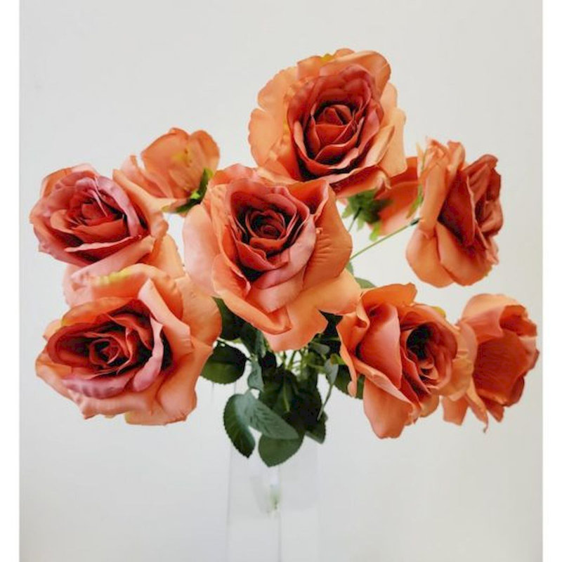 Rosiers, Corail