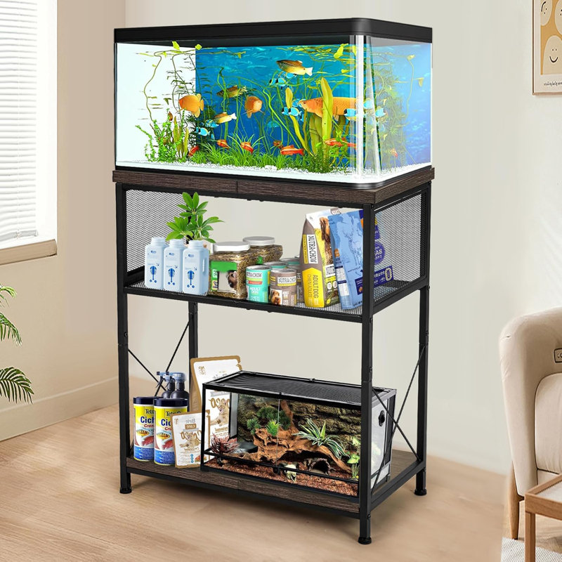 Support d'aquarium pour aquariums de 10 à 20 gallons Structure en acier robuste à hauteur réglable à deux niveaux avec cage de reptile robuste ou armoire de rangement