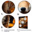 Portrait de renard en automne I - animaux, art mural-336503788-336503786