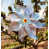 10 selected