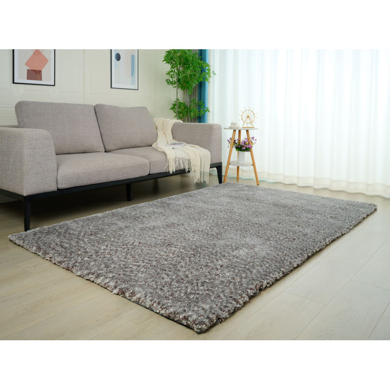 Tapis gris / brun clair tissé à la main Dinardo, Rectangle de 5 pi x 8 pi