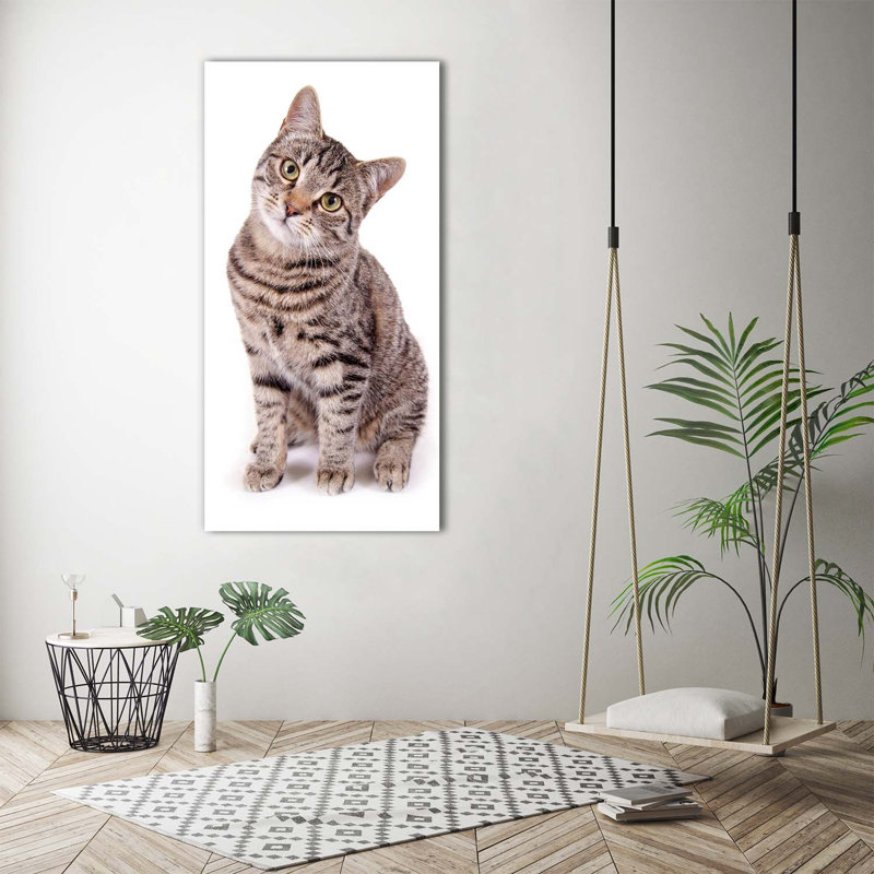 Cat - Wrapped Canvas Print