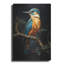 Art mural en métal «Kingfishers 1» par Momart-106205291