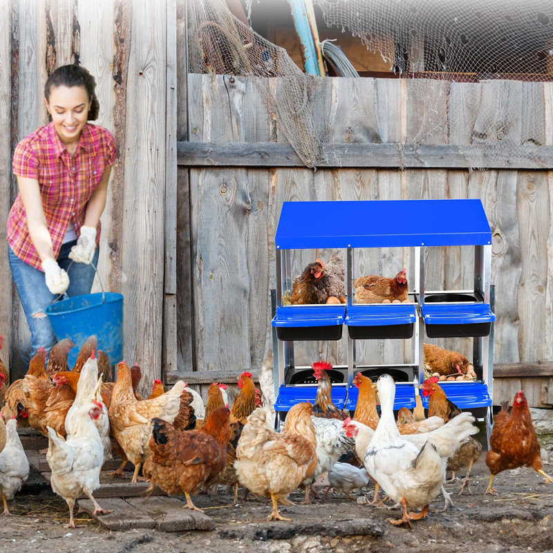 Boîtes de nidification à poulets 6/8/10, Bleu