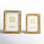 Gold Matte Picture Frame