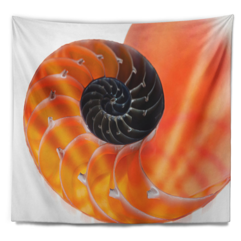 Tapisserie conautilus coquille avec accessoires suspendus inclus, H 32 po x l 39 po