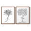 Reproduction encadrée de qualité supérieure de B&W Plant Speciment III - prête à être accrochée - aucun clou requis - aucun clou requis-192665968-192665963